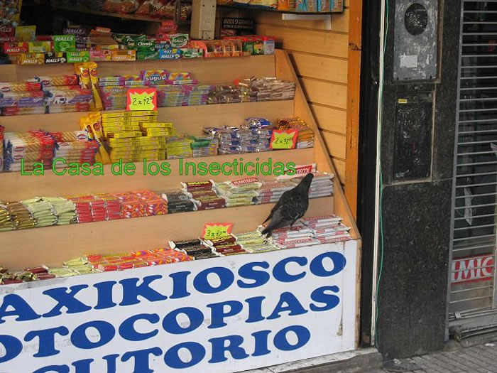 Palomas